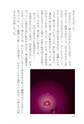 真夜中の虹