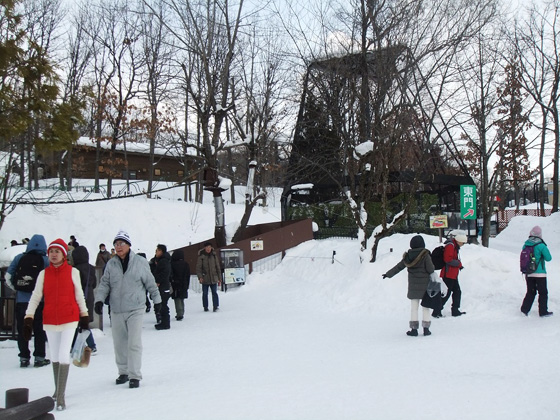 冬の旭山動物園