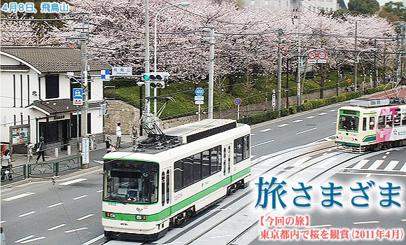 東京・飛鳥山の春桜